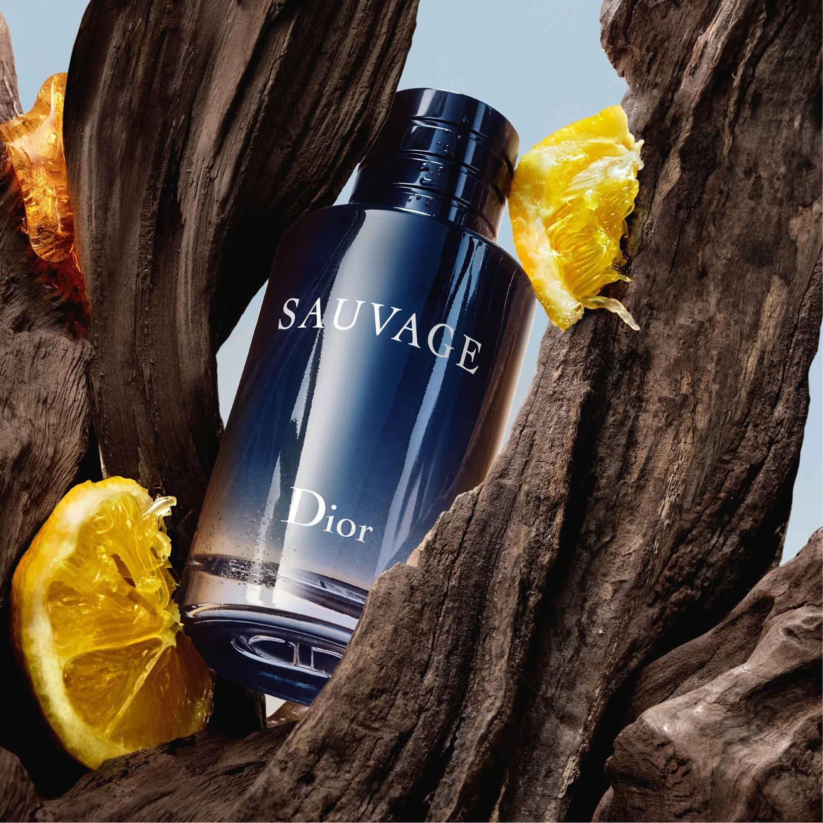 Dior Sauvage For Men EDT 100ml 